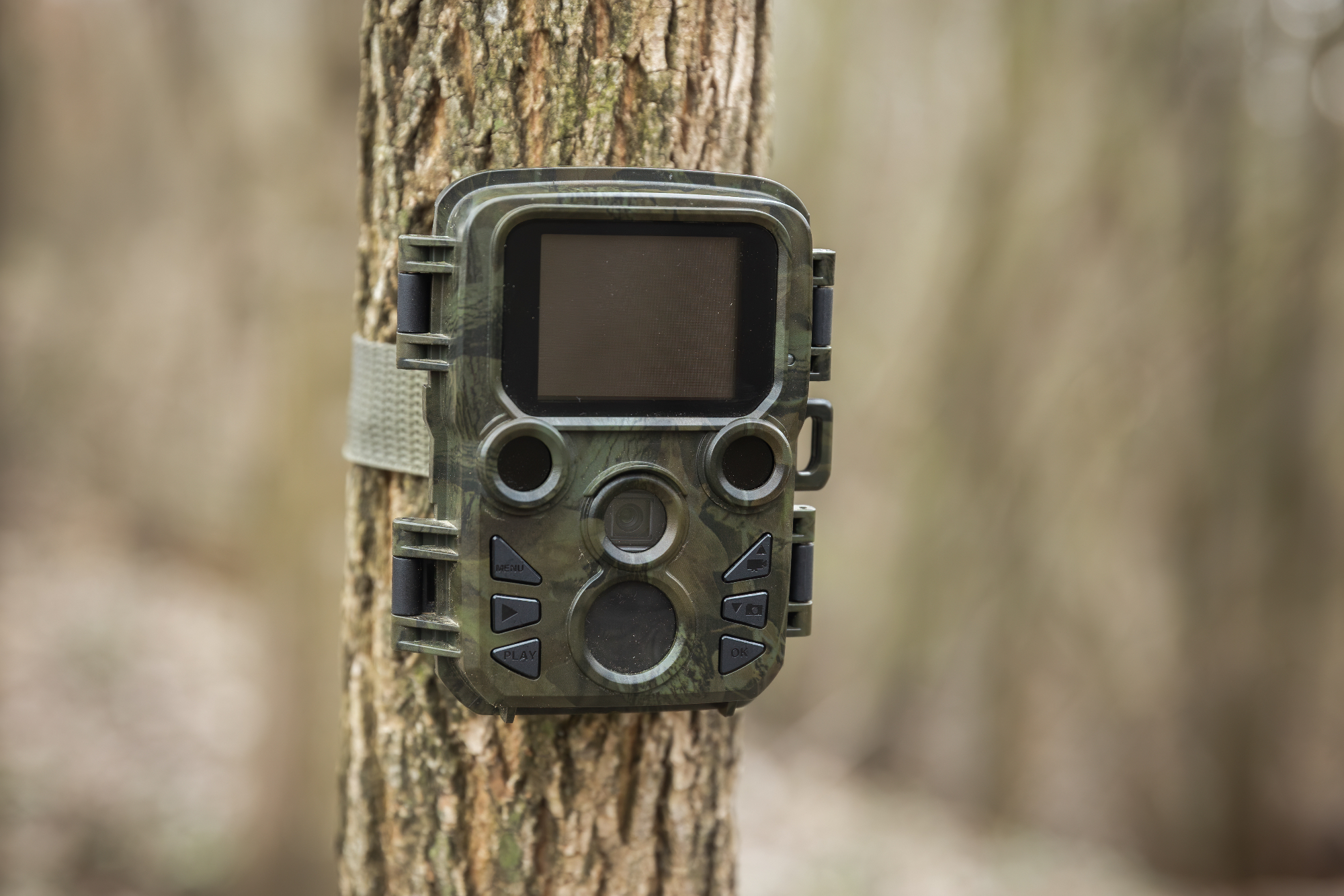Lovska kamera mi je pomagala narediti analizo populacije gozda